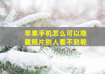 苹果手机怎么可以隐藏照片别人看不到呢