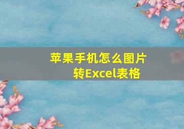 苹果手机怎么图片转Excel表格