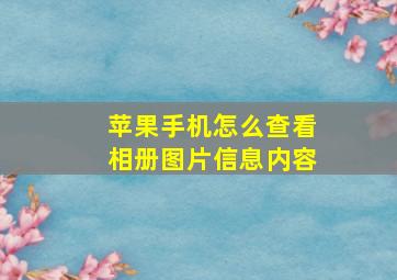 苹果手机怎么查看相册图片信息内容