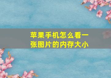 苹果手机怎么看一张图片的内存大小