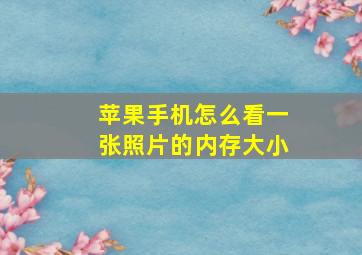 苹果手机怎么看一张照片的内存大小