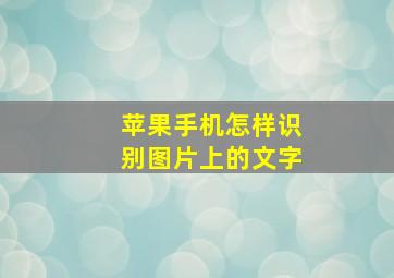 苹果手机怎样识别图片上的文字