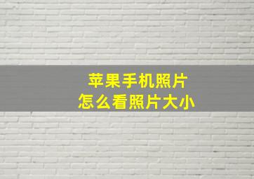 苹果手机照片怎么看照片大小