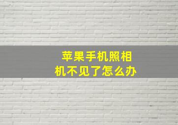 苹果手机照相机不见了怎么办