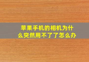 苹果手机的相机为什么突然用不了了怎么办