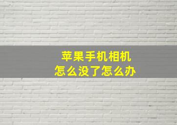 苹果手机相机怎么没了怎么办