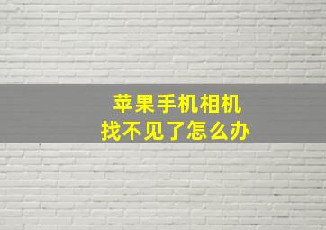 苹果手机相机找不见了怎么办