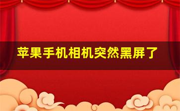 苹果手机相机突然黑屏了