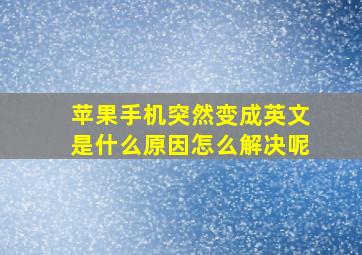 苹果手机突然变成英文是什么原因怎么解决呢