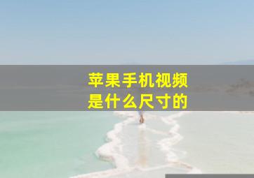 苹果手机视频是什么尺寸的