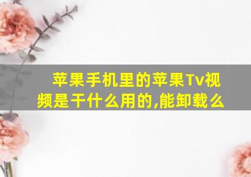 苹果手机里的苹果Tv视频是干什么用的,能卸载么