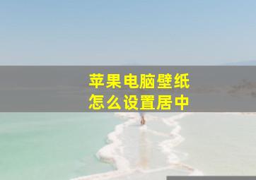 苹果电脑壁纸怎么设置居中