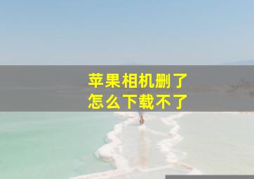 苹果相机删了怎么下载不了