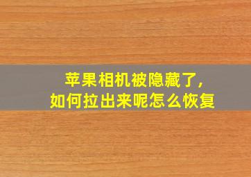 苹果相机被隐藏了,如何拉出来呢怎么恢复