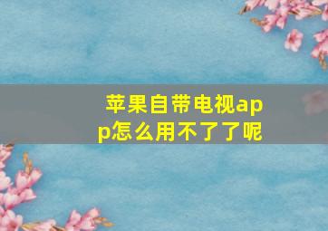 苹果自带电视app怎么用不了了呢