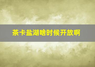 茶卡盐湖啥时候开放啊