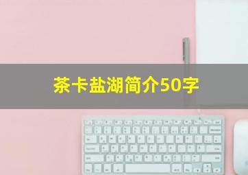 茶卡盐湖简介50字