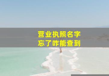 营业执照名字忘了咋能查到