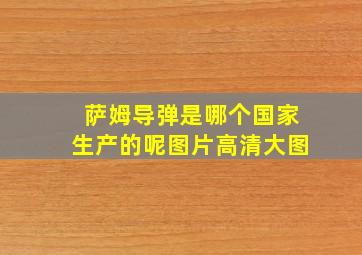 萨姆导弹是哪个国家生产的呢图片高清大图