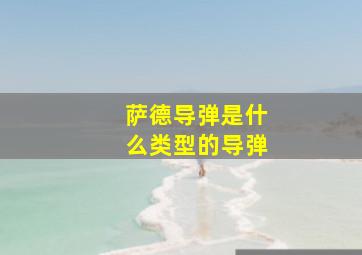 萨德导弹是什么类型的导弹