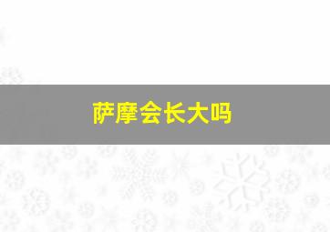 萨摩会长大吗