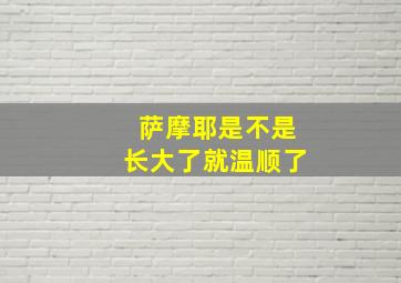 萨摩耶是不是长大了就温顺了