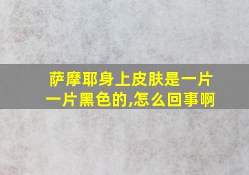 萨摩耶身上皮肤是一片一片黑色的,怎么回事啊