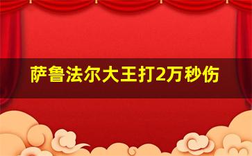 萨鲁法尔大王打2万秒伤