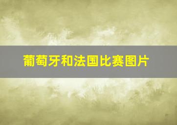 葡萄牙和法国比赛图片