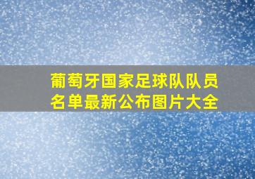 葡萄牙国家足球队队员名单最新公布图片大全