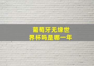 葡萄牙无缘世界杯吗是哪一年