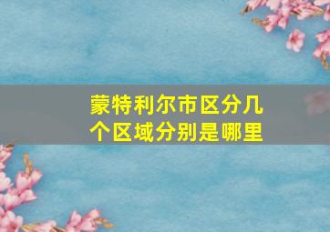 蒙特利尔市区分几个区域分别是哪里