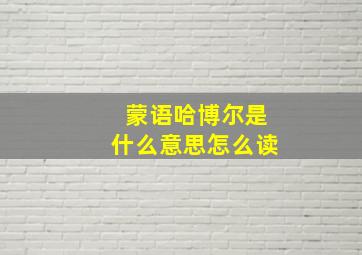 蒙语哈博尔是什么意思怎么读