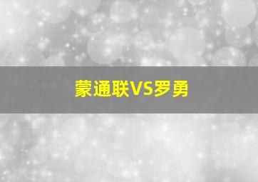 蒙通联VS罗勇