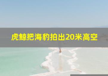 虎鲸把海豹拍出20米高空