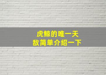 虎鲸的唯一天敌简单介绍一下