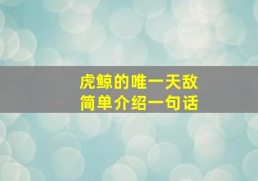 虎鲸的唯一天敌简单介绍一句话