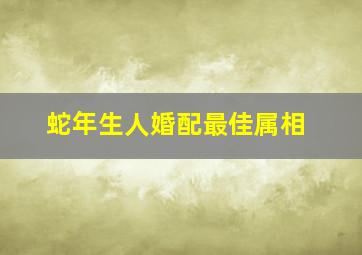 蛇年生人婚配最佳属相