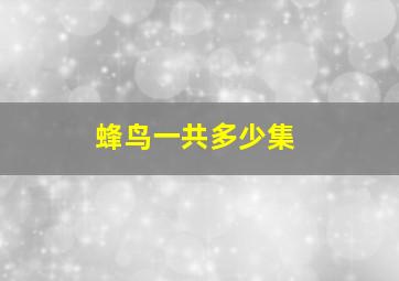 蜂鸟一共多少集