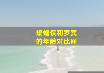 蝙蝠侠和罗宾的年龄对比图