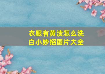 衣服有黄渍怎么洗白小妙招图片大全