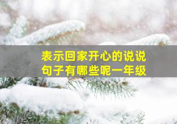 表示回家开心的说说句子有哪些呢一年级