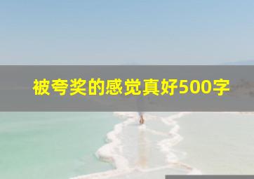 被夸奖的感觉真好500字