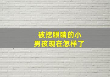 被挖眼睛的小男孩现在怎样了