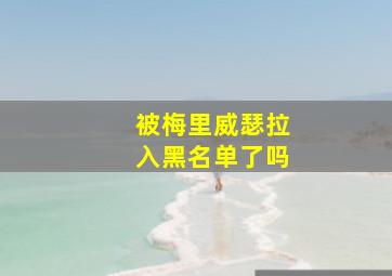 被梅里威瑟拉入黑名单了吗