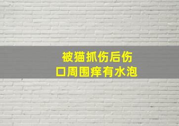 被猫抓伤后伤口周围痒有水泡