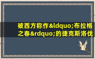 被西方称作“布拉格之春”的捷克斯洛伐克事件说明了