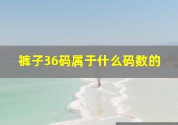 裤子36码属于什么码数的