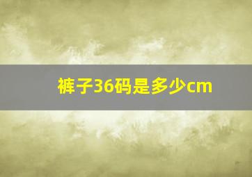 裤子36码是多少cm