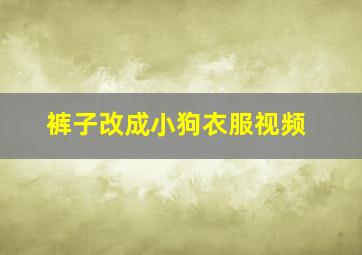 裤子改成小狗衣服视频